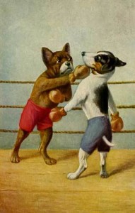 BoxingDogs