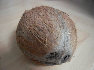 coconut