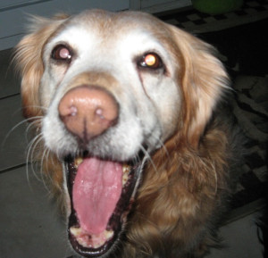 A relaxing yawn from a former client