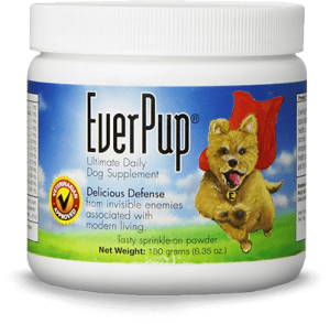 EverPup