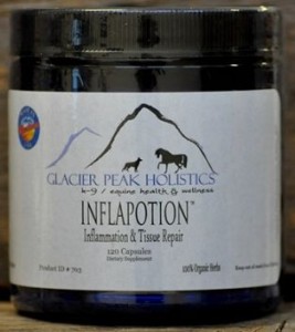 Inflapotion has noticeably reduced Ginger's discomfort within 2 weeks