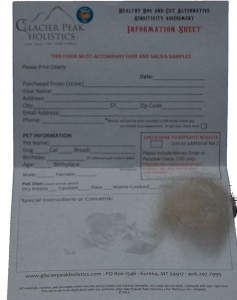 This is the info sheet you'll complete and return with your samples. It includes a handy visual aid to show you how much hair to collect.