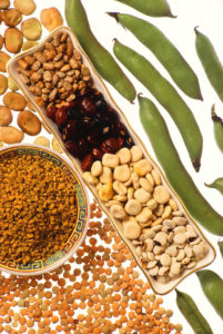 Pulse is a collective term for the seeds of legumes such as beans, peas and stuff