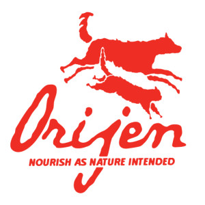 OrijenLogo2013