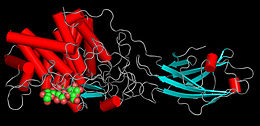 Cellulase is an enzyme which breaks down fiber. It is not produced naturally by our pets' digestive system.