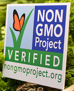 gmo