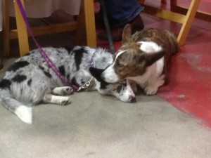 It was a long day for some of the Open House attendees.